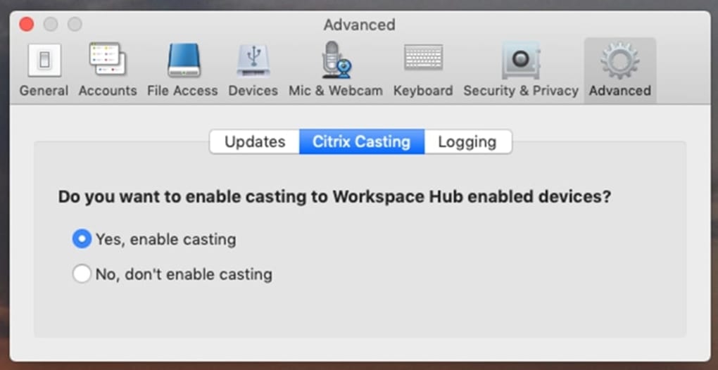 Citrix Workspace App For Mac Download